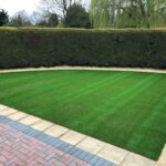 Weybourne Turf & Grass Expert Company